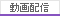 動画配信