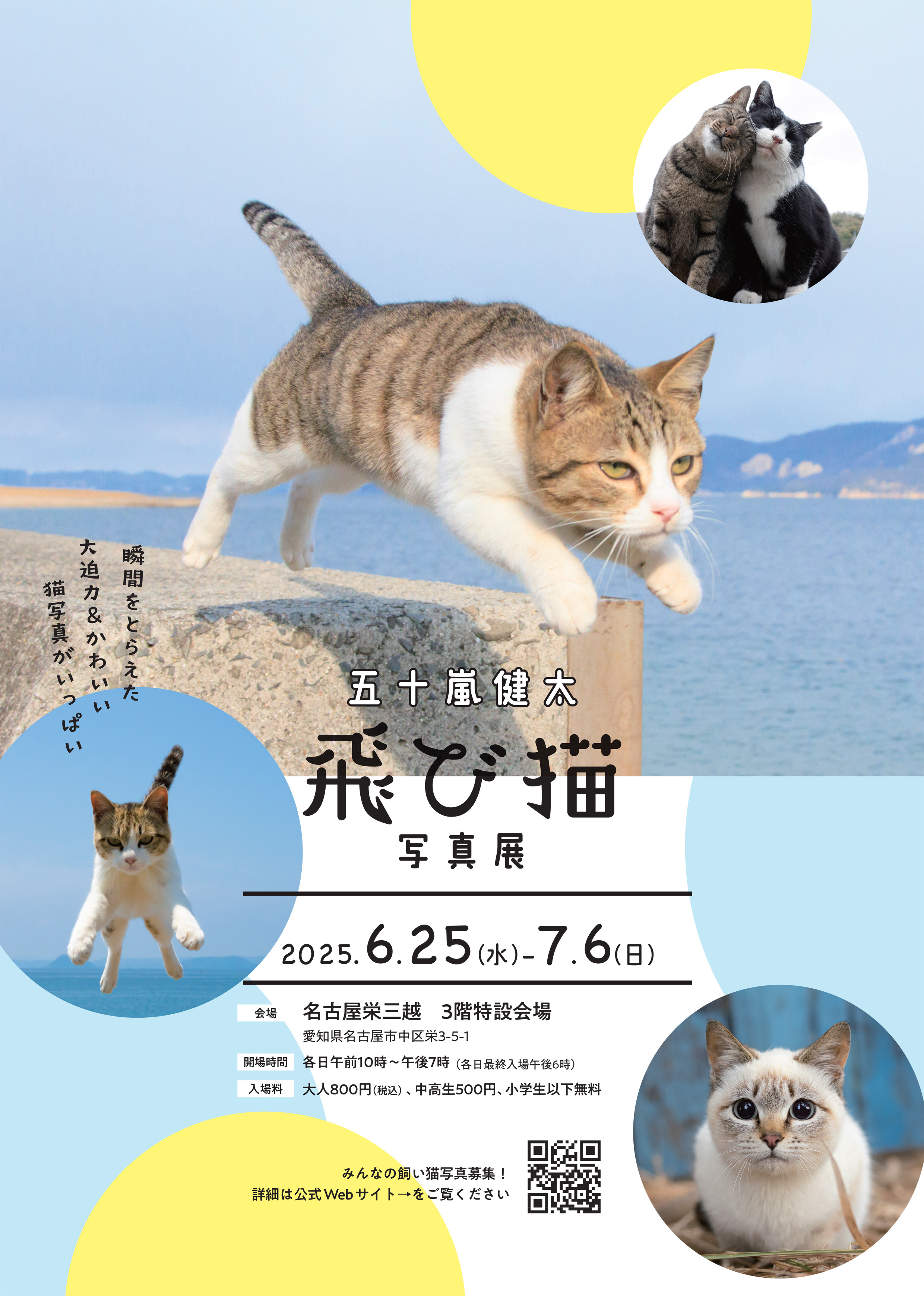五十嵐健太「飛び猫」写真展(愛知)